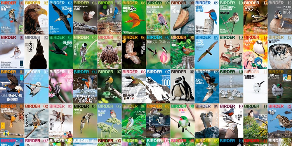 BIRDER総目次