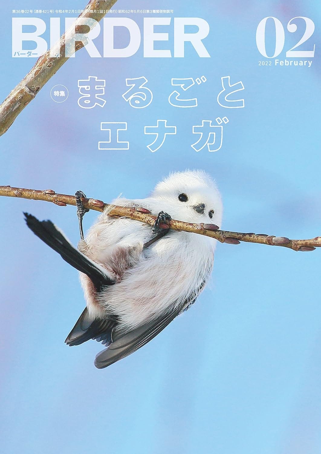 BIRDER（バーダー） 2022年2月号