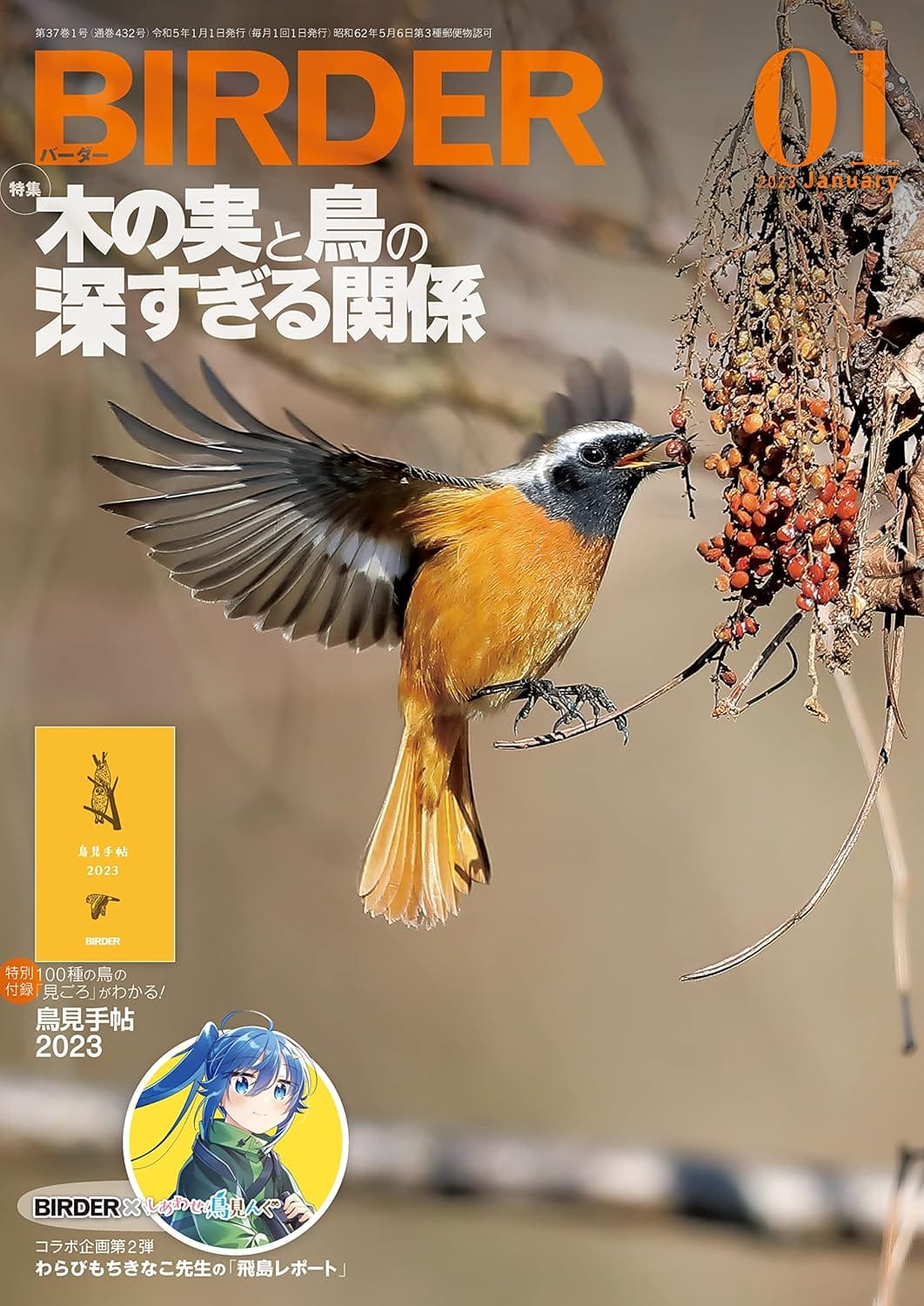 BIRDER（バーダー） 2023年1月号