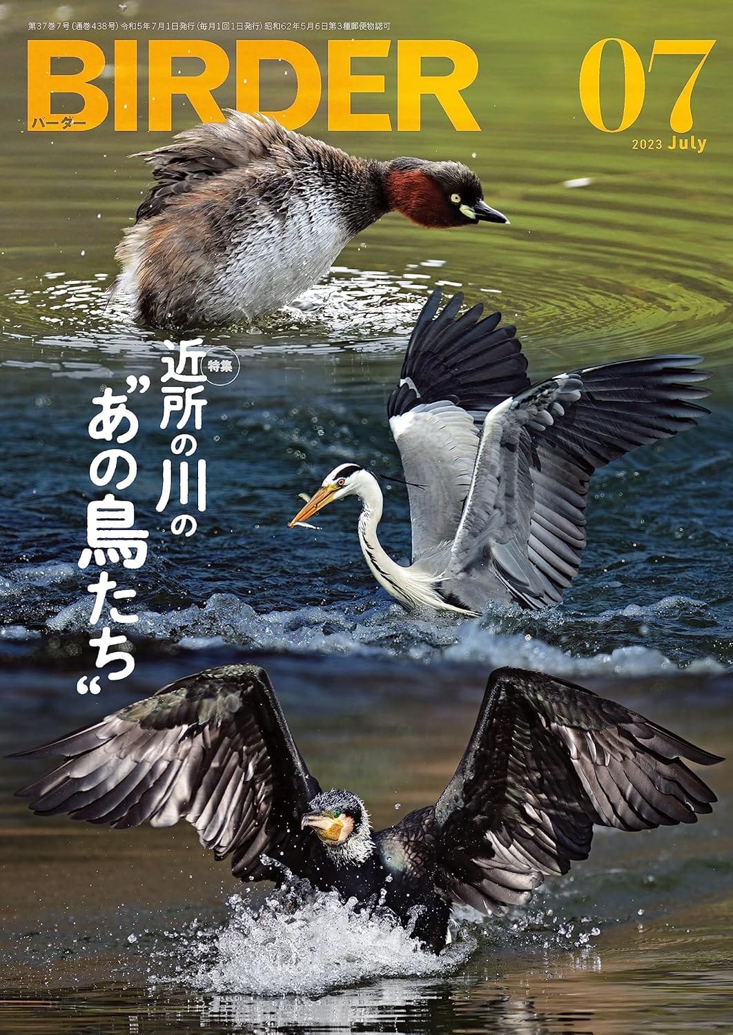 BIRDER（バーダー） 2023年7月号