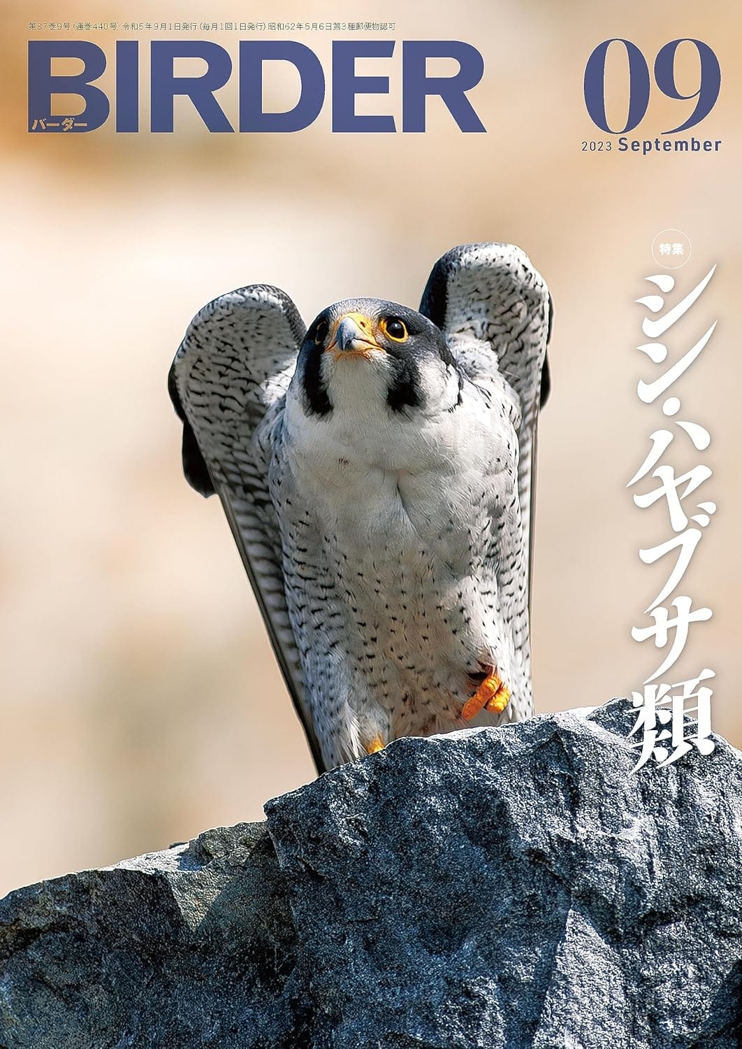 BIRDER（バーダー） 2023年9月号