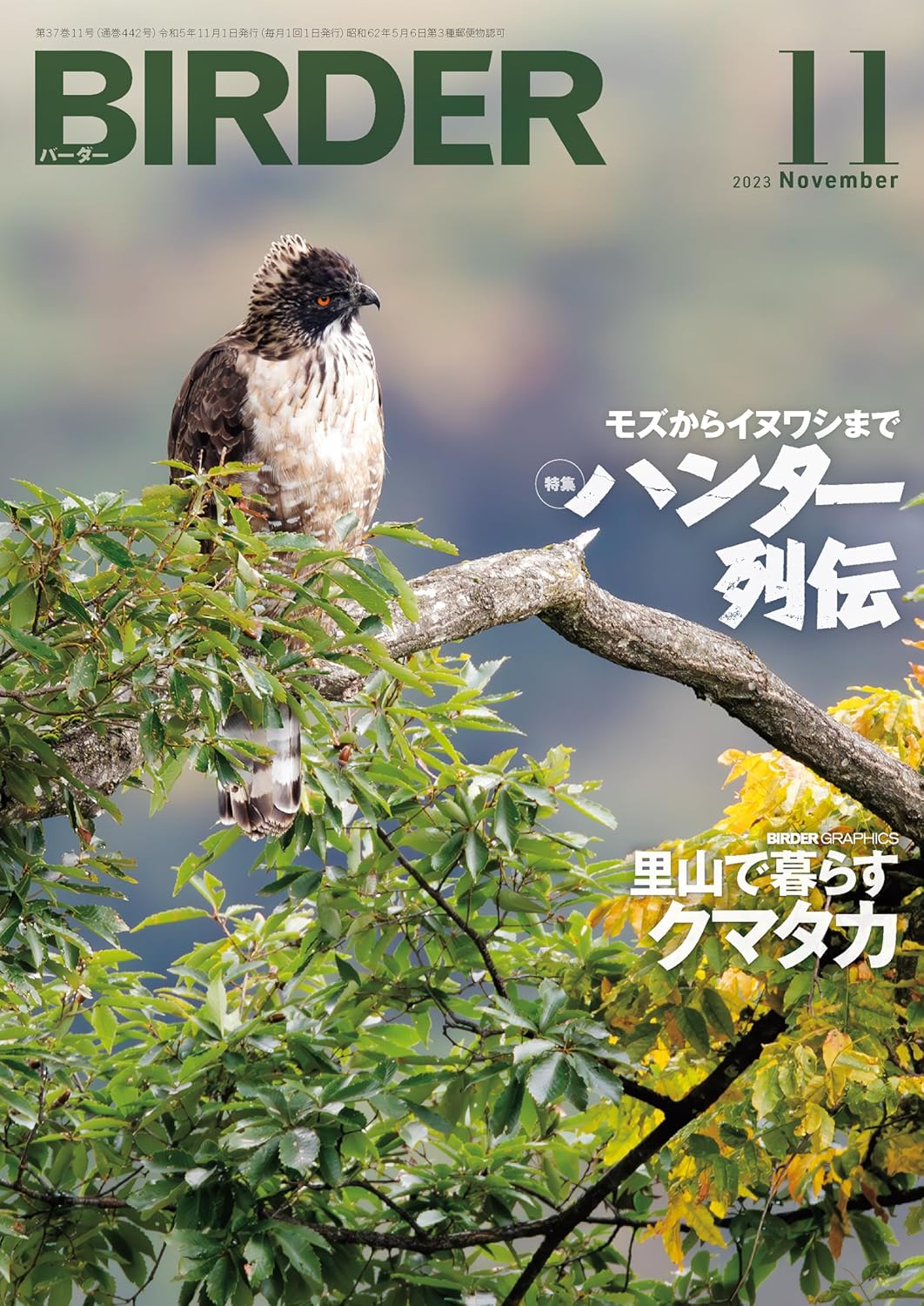 BIRDER（バーダー） 2023年11月号