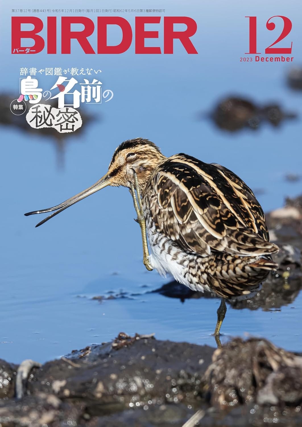 BIRDER（バーダー） 2023年12月号