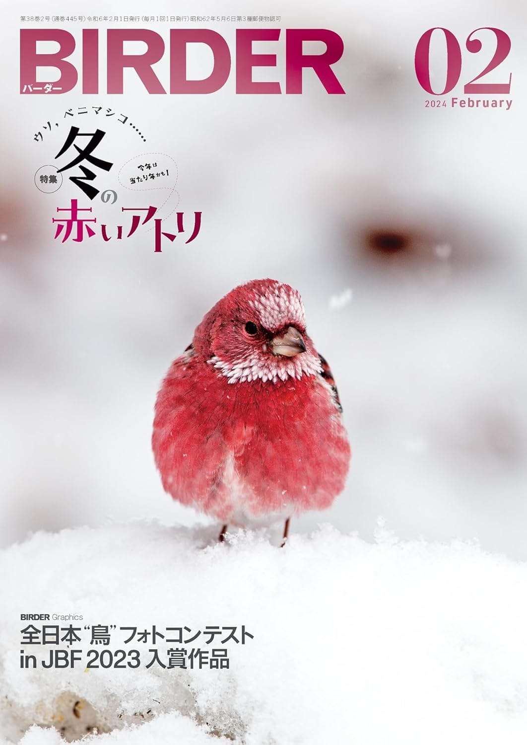 BIRDER（バーダー） 2024年2月号