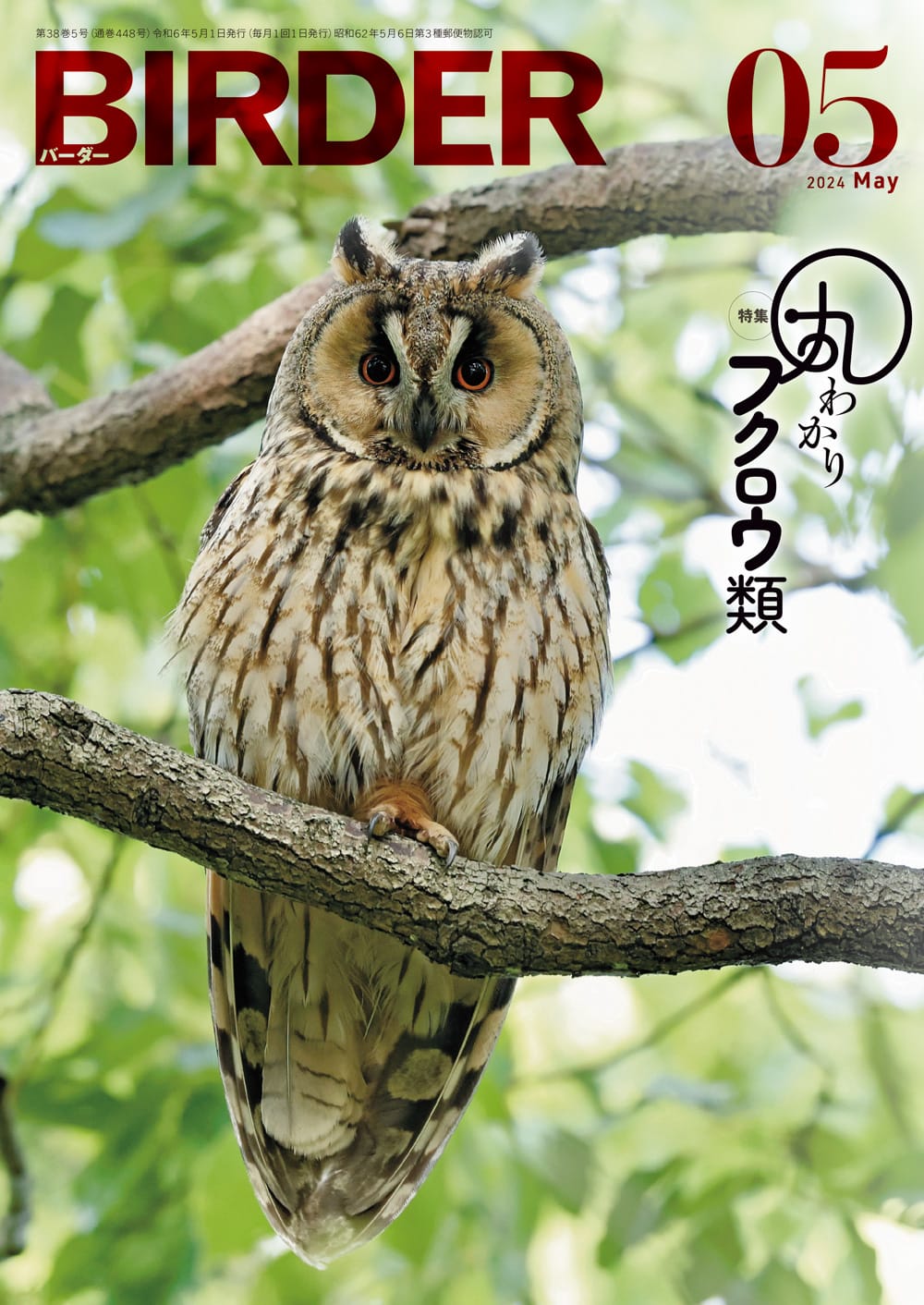 BIRDER（バーダー） 2024年5月号