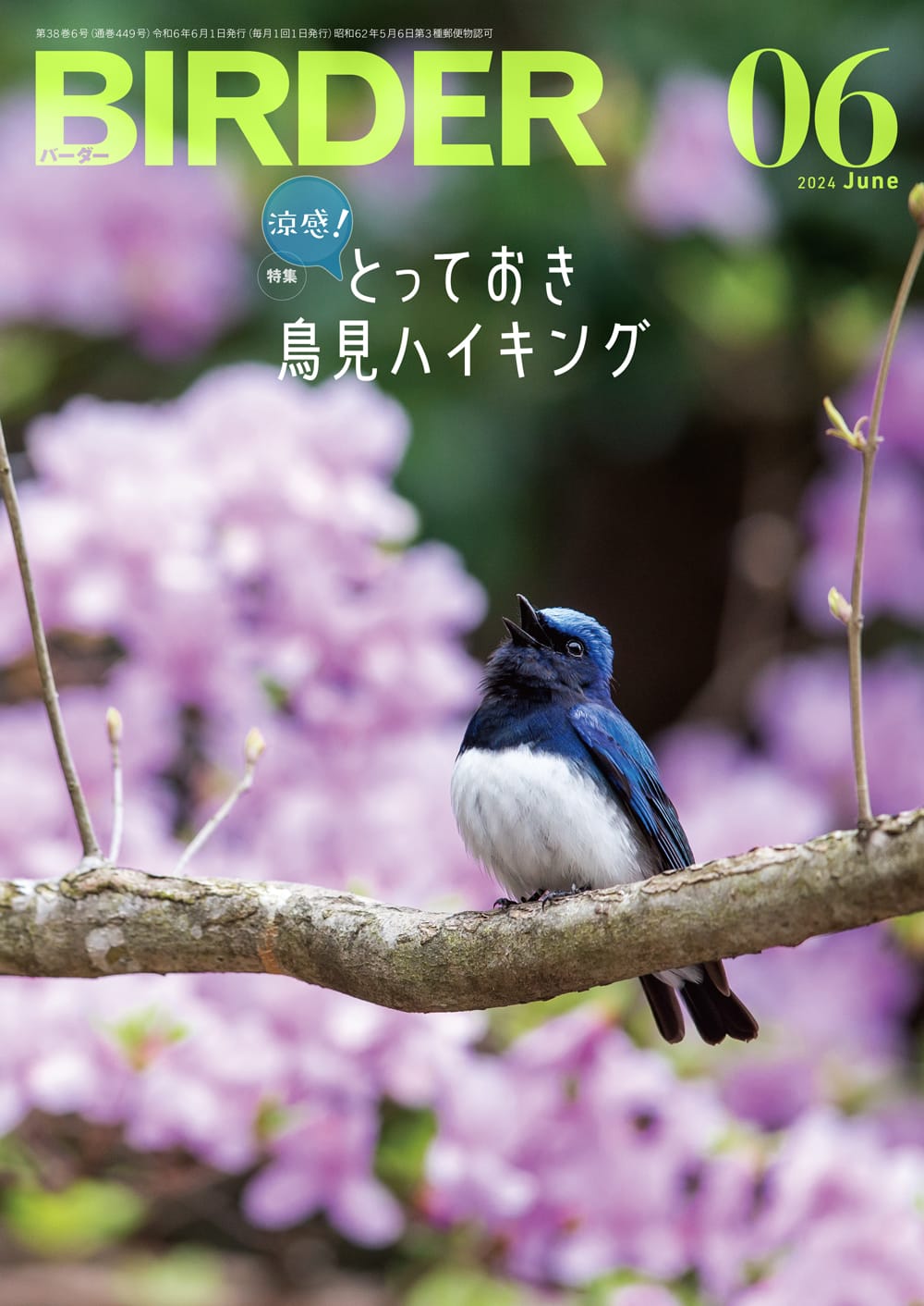 BIRDER（バーダー） 2024年6月号