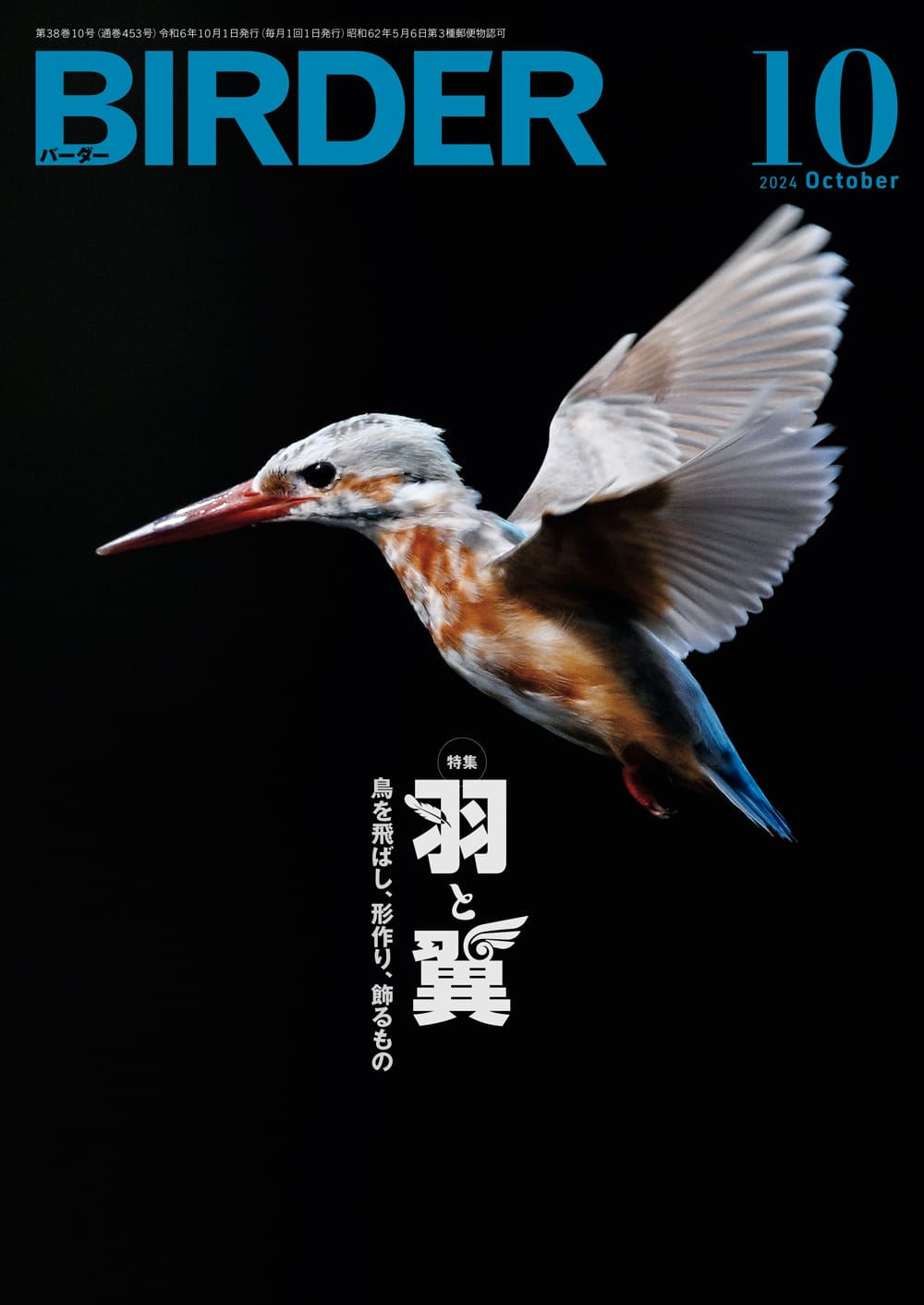 BIRDER（バーダー） 2024年10月号