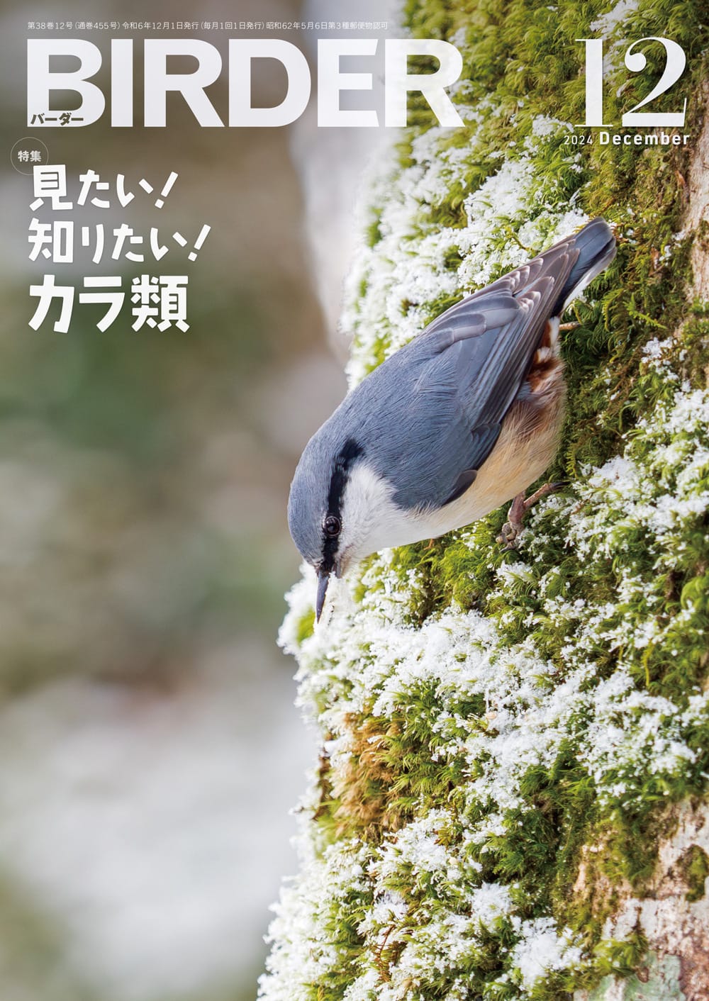 BIRDER（バーダー） 2024年12月号