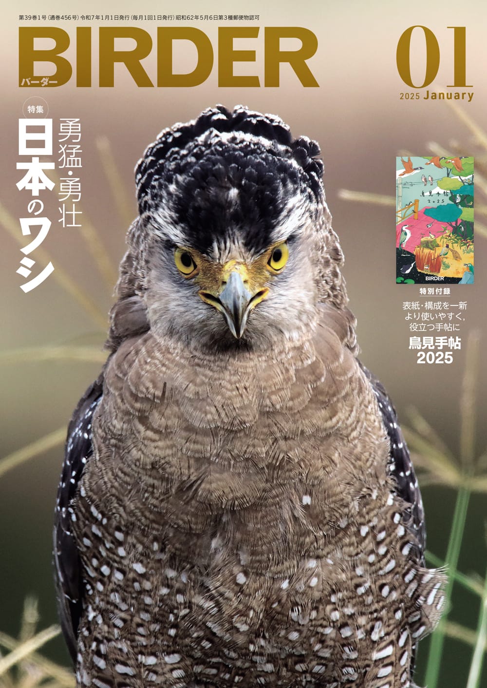 BIRDER（バーダー） 2025年1月号