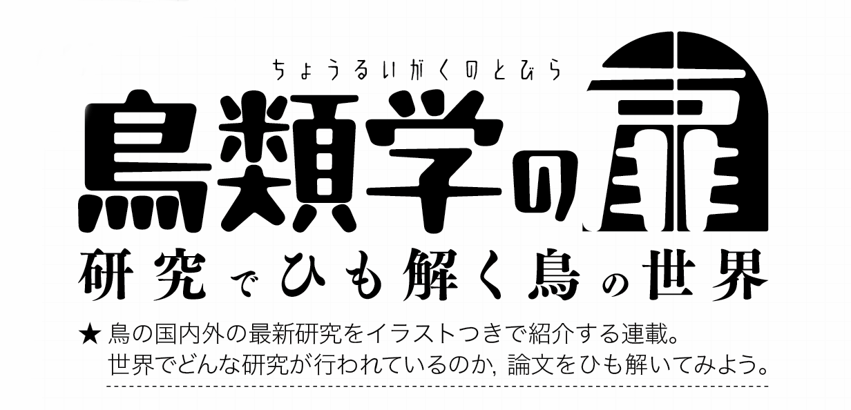 【BIRDER連載試し読み】鳥類学の扉