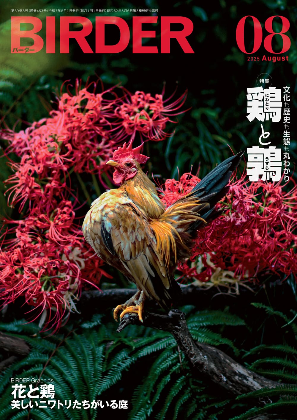 BIRDER（バーダー） 2025年8月号