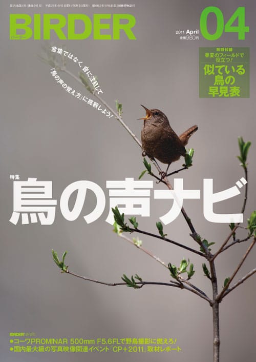 BIRDER（バーダー）2011年4月号