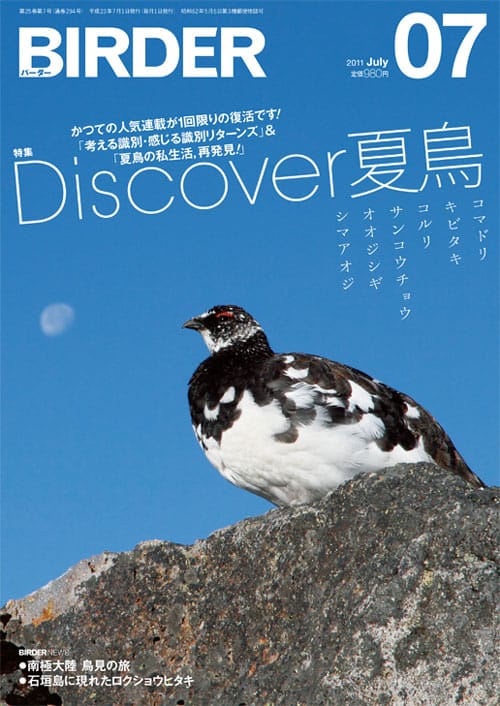 BIRDER（バーダー）2011年7月号