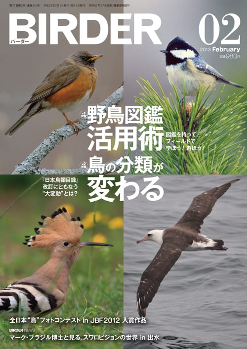 BIRDER（バーダー）2013年2月号