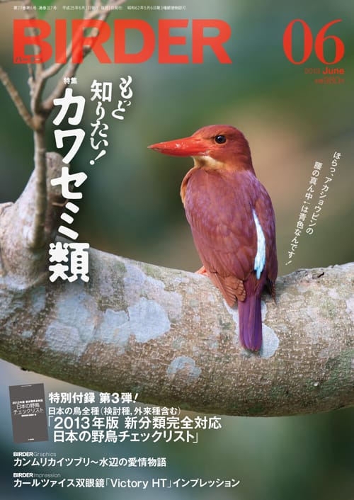 BIRDER（バーダー）2013年6月号