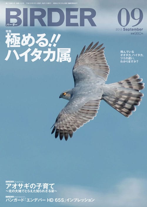 BIRDER（バーダー）2013年9月号