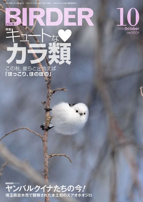 BIRDER（バーダー）2013年10月号