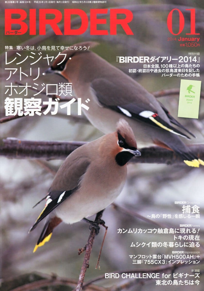 BIRDER（バーダー） 2014年1月号