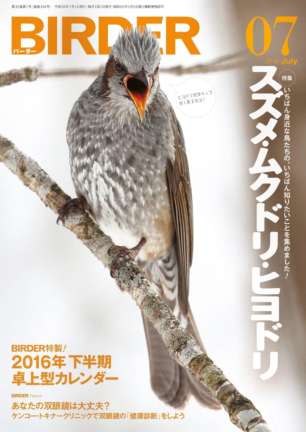 BIRDER（バーダー） 2016年7月号