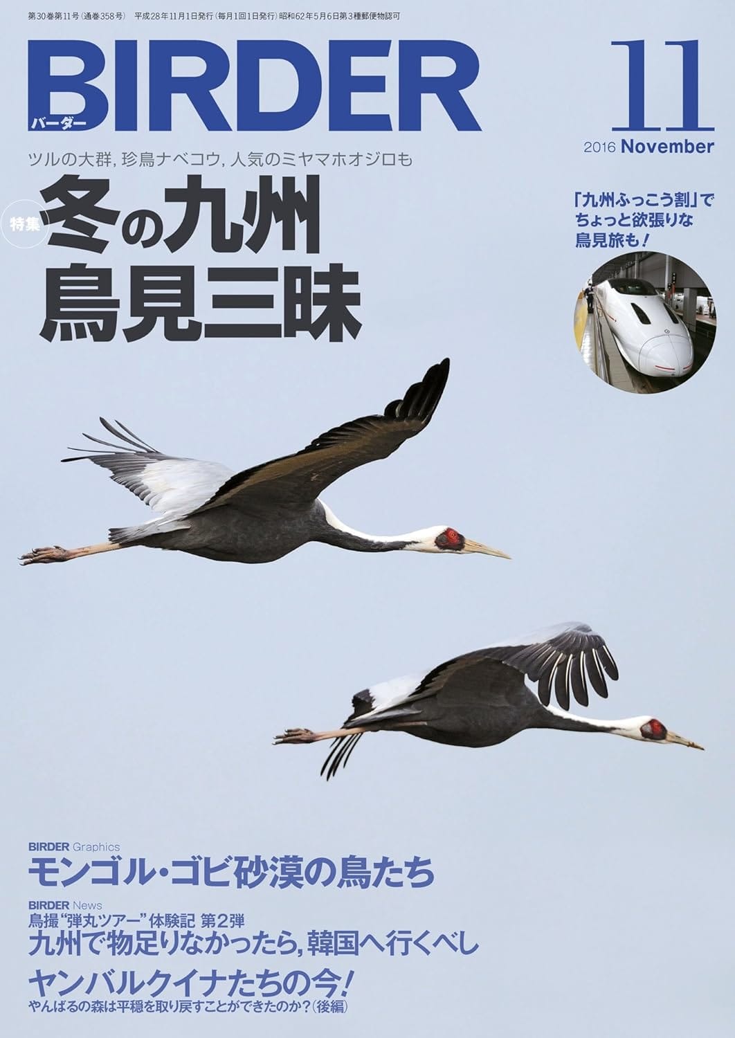BIRDER（バーダー） 2016年11月号