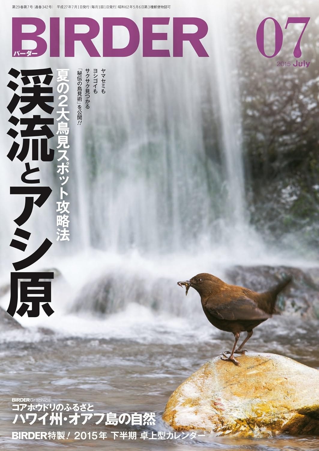 BIRDER（バーダー） 2015年7月号