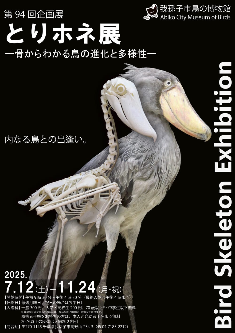 第94回企画展「とりホネ展」- 我孫子市鳥の博物館