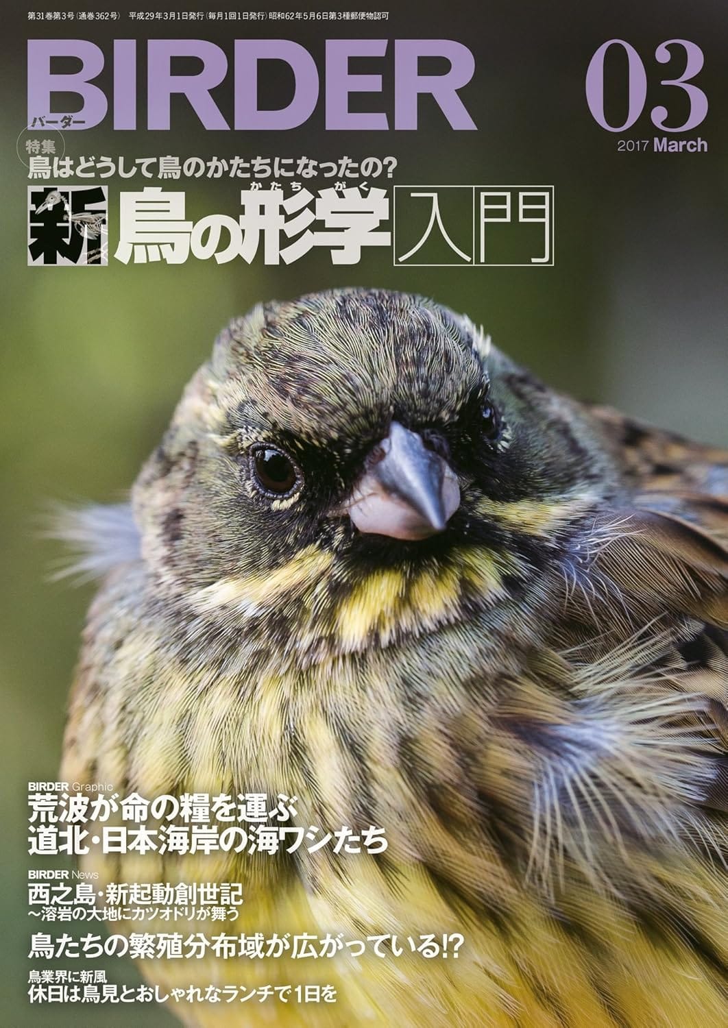 BIRDER（バーダー）2017年3月号