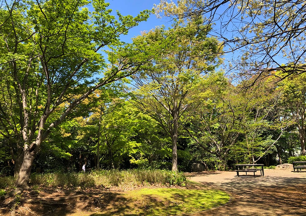 自分のフィールドをもとう！