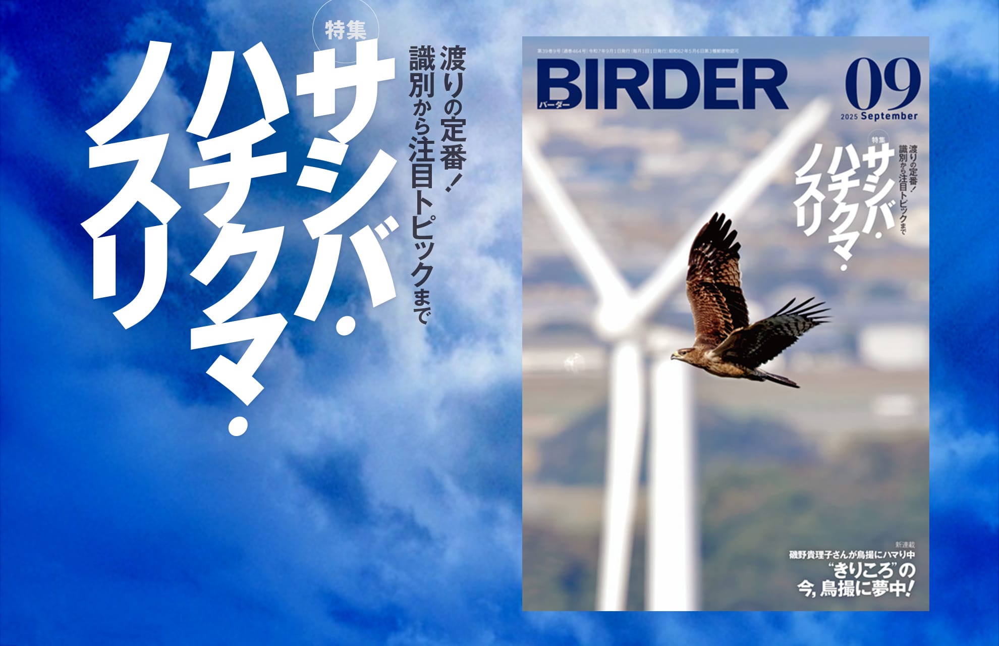 BIRDER最新号