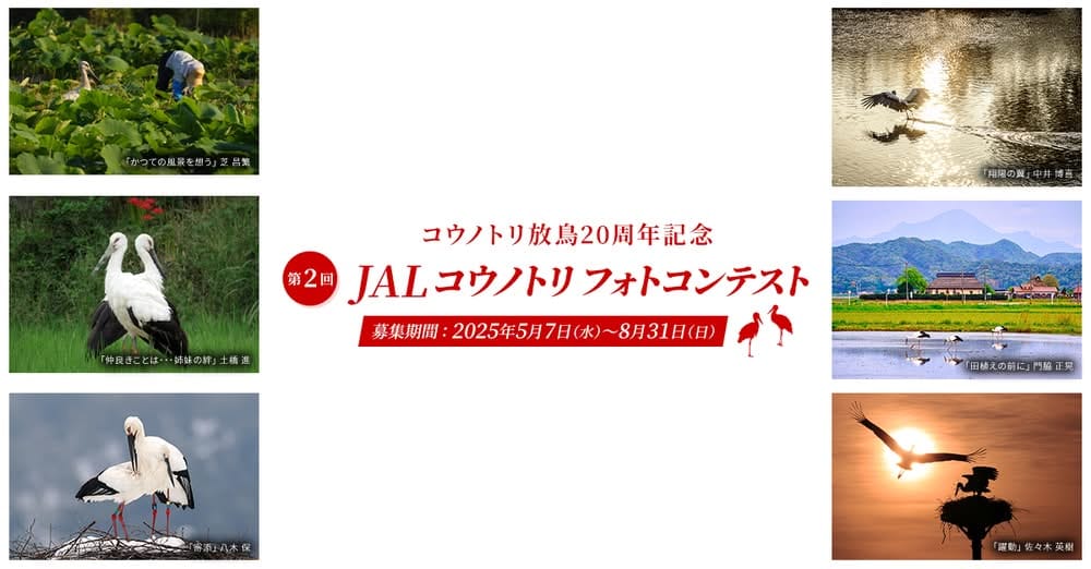 第2回 JALコウノトリフォトコンテスト 作品募集のお知らせ（8/31締切）