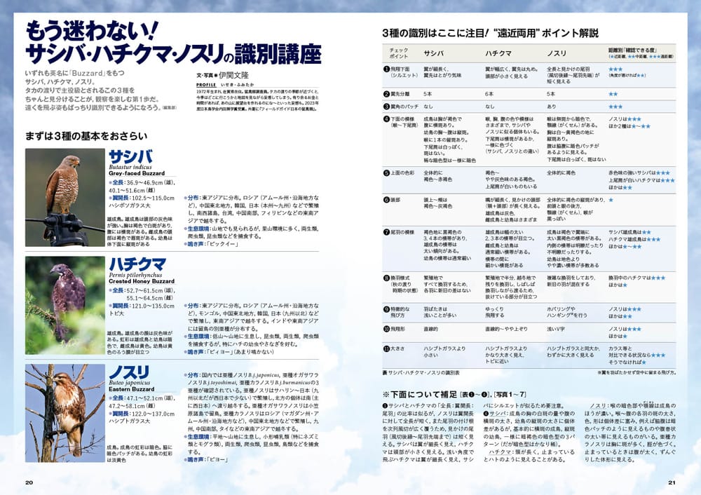 BIRDER9月号の見どころ