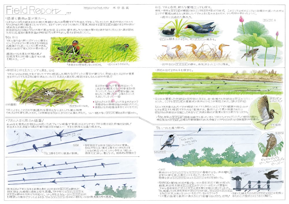 BIRDER9月号の見どころ