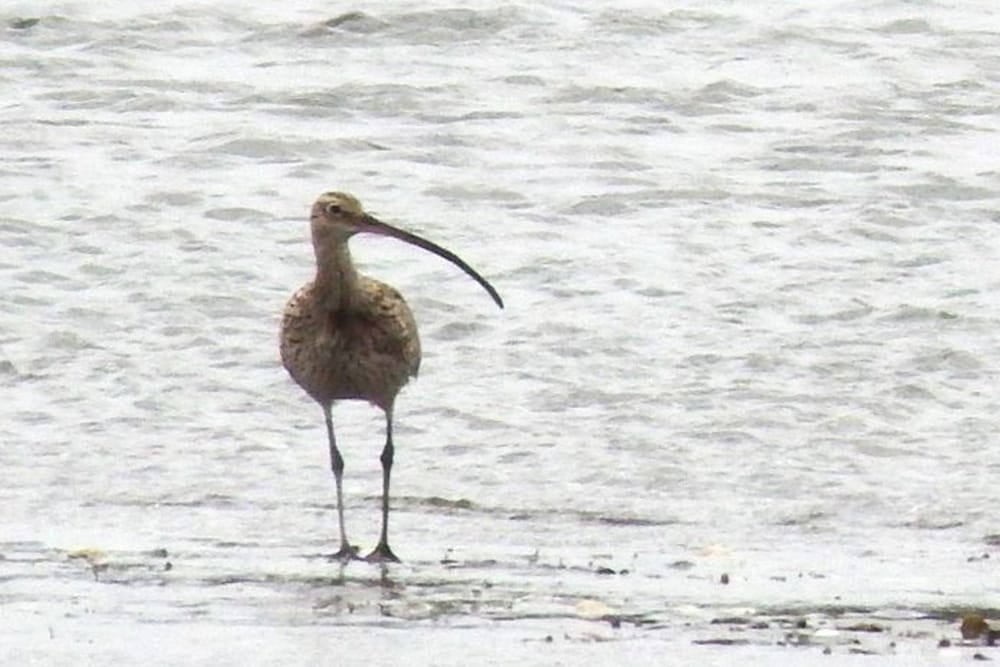 根室市春国岱原生野鳥公園ネイチャーセンター