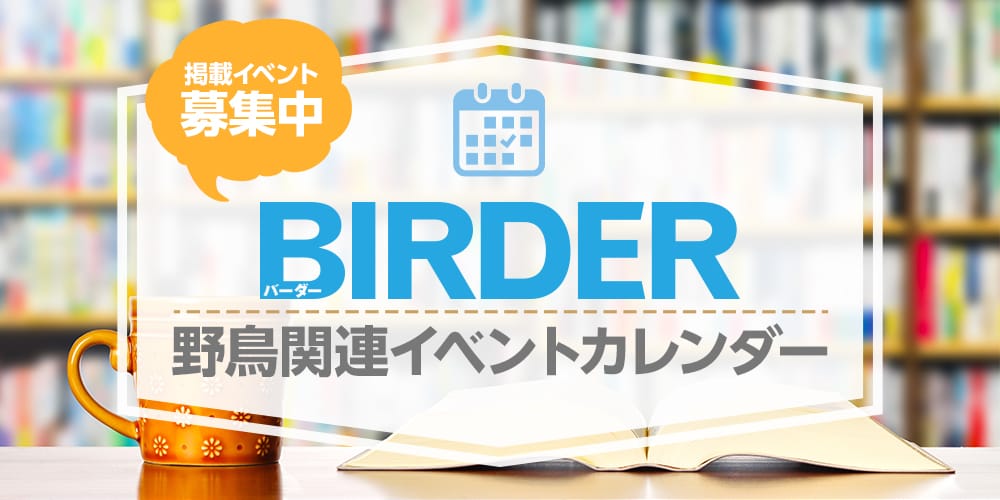 野鳥関連イベントカレンダー