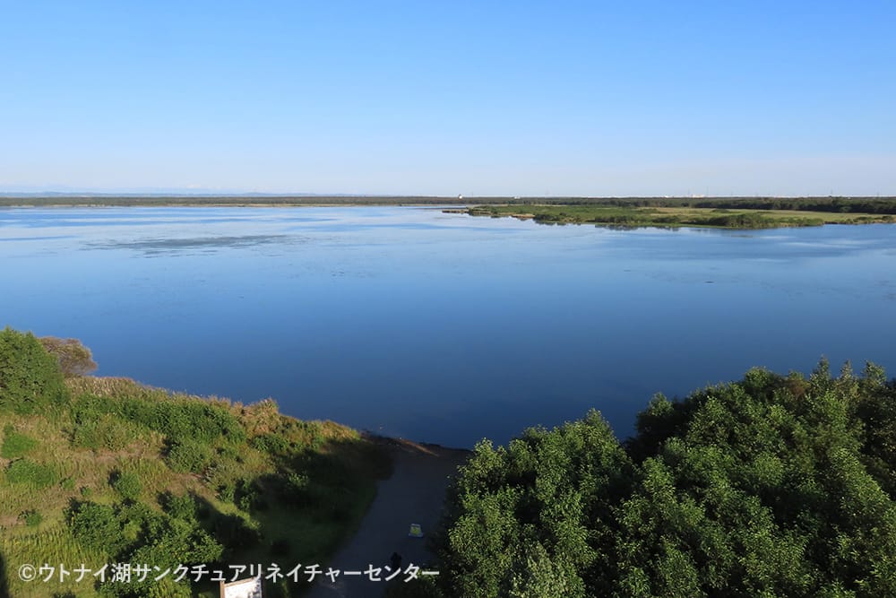 ウトナイ湖サンクチュアリネイチャーセンター