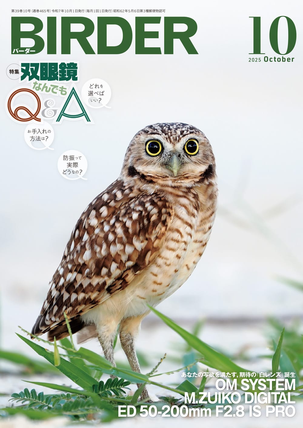 BIRDER（バーダー） 2025年10月号