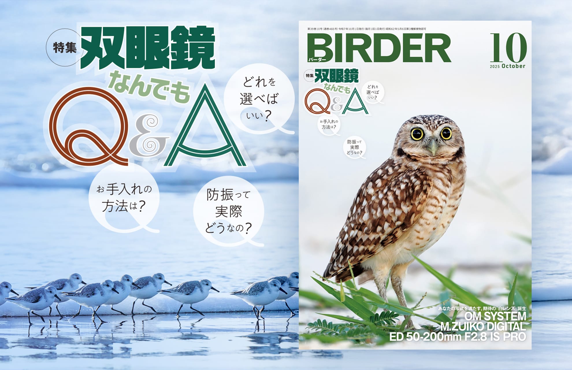BIRDER最新号