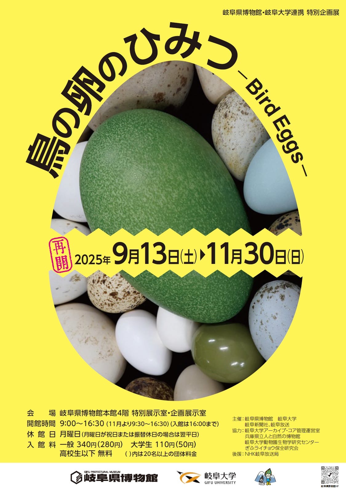 特別企画展「鳥の卵のひみつ―Bird Eggs―」- 岐阜県博物館