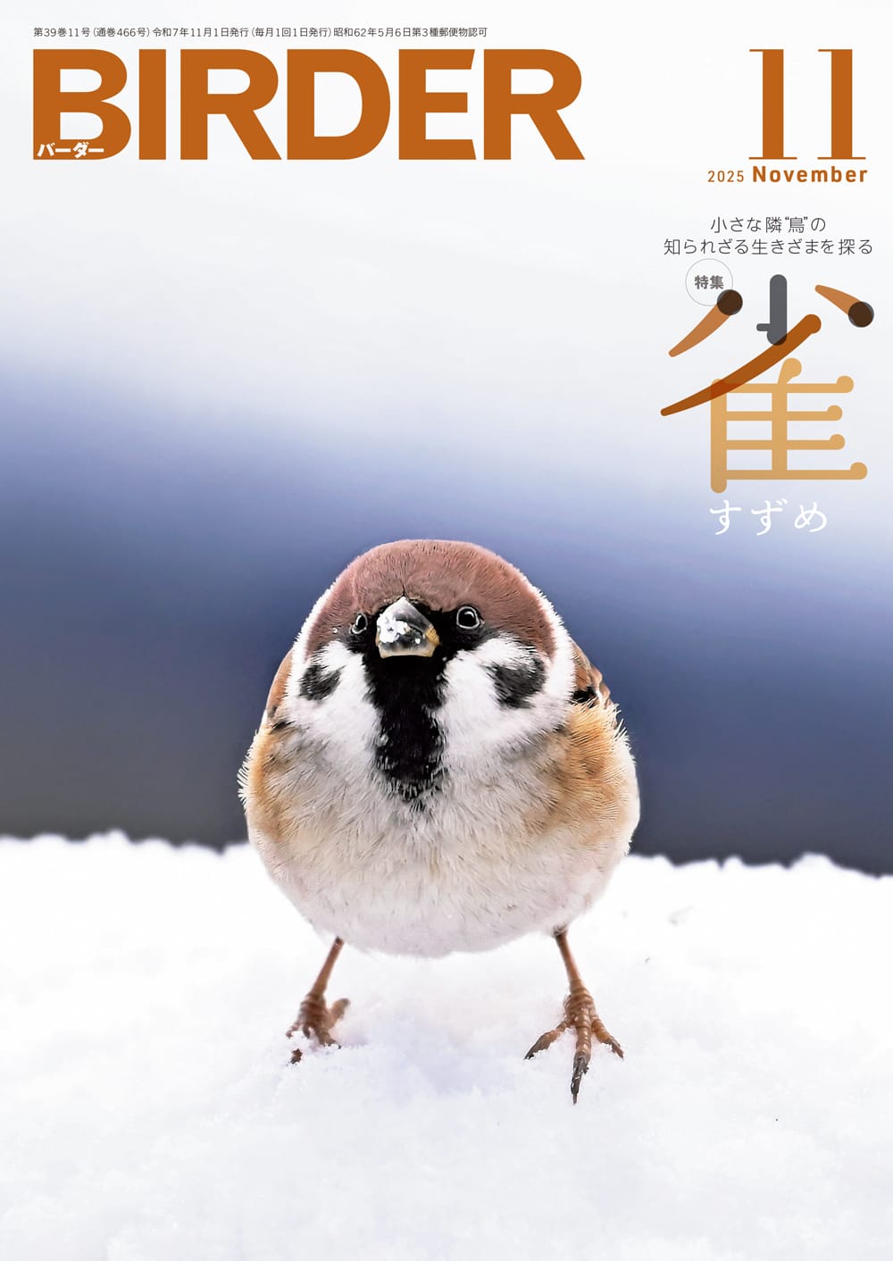 BIRDER(バーダー) 2025年11月号