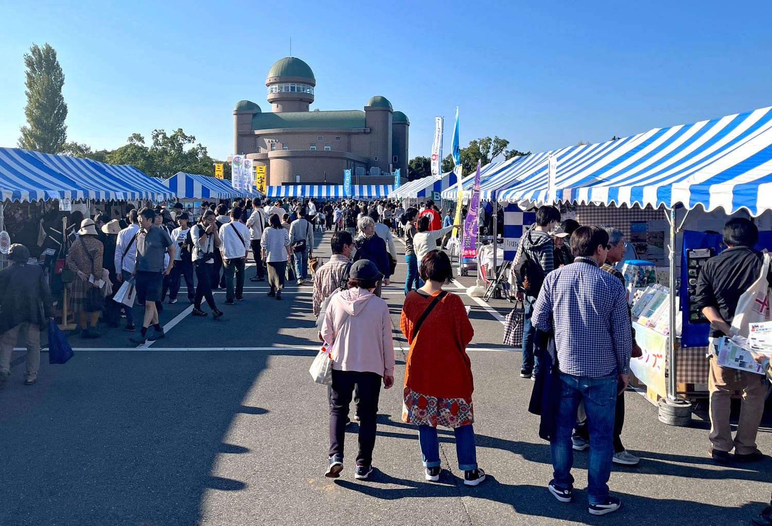 Japan Bird Festival 2025 日本最大級の鳥の祭典を楽しもう!