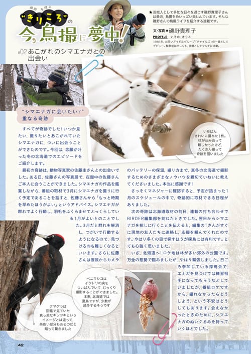 BIRDER12月号の見どころ