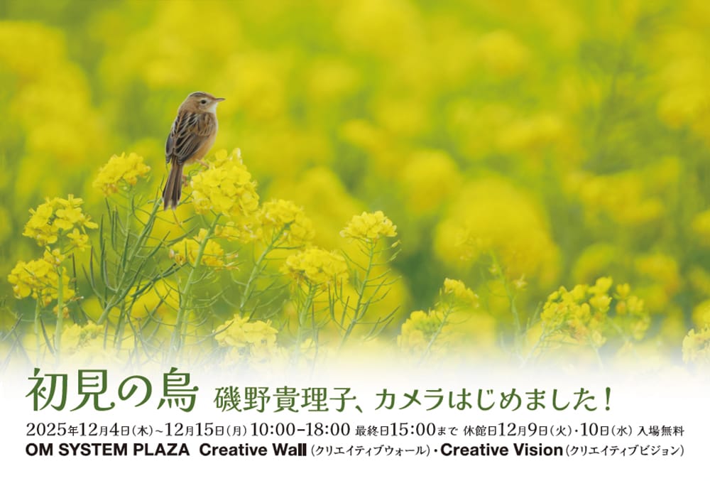 磯野貴理子 写真展「初見の鳥　磯野貴理子、カメラ始めました！」- OM SYSTEM PLAZA