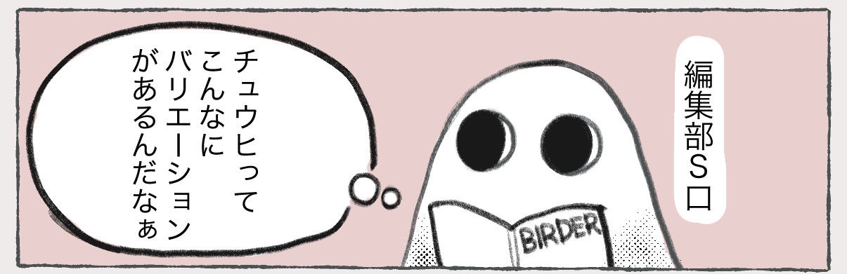 BIRDER1月号　ゆるゆる編集後記①