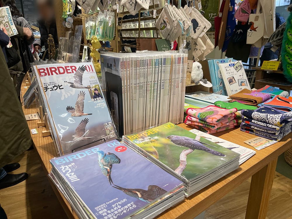 野鳥好きのための野鳥観察情報サイト｜BIRDER.jp（月刊BIRDER公式）