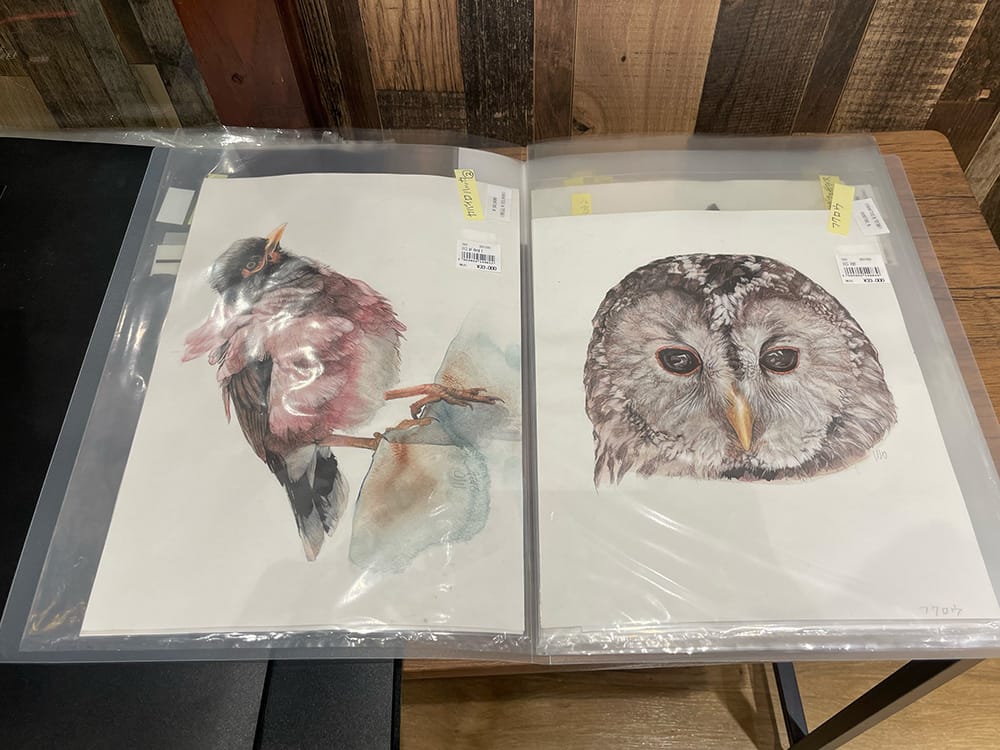 川口 敏「鳥類イラスト原画展」- THE STUDY ROOM エキュート上野店