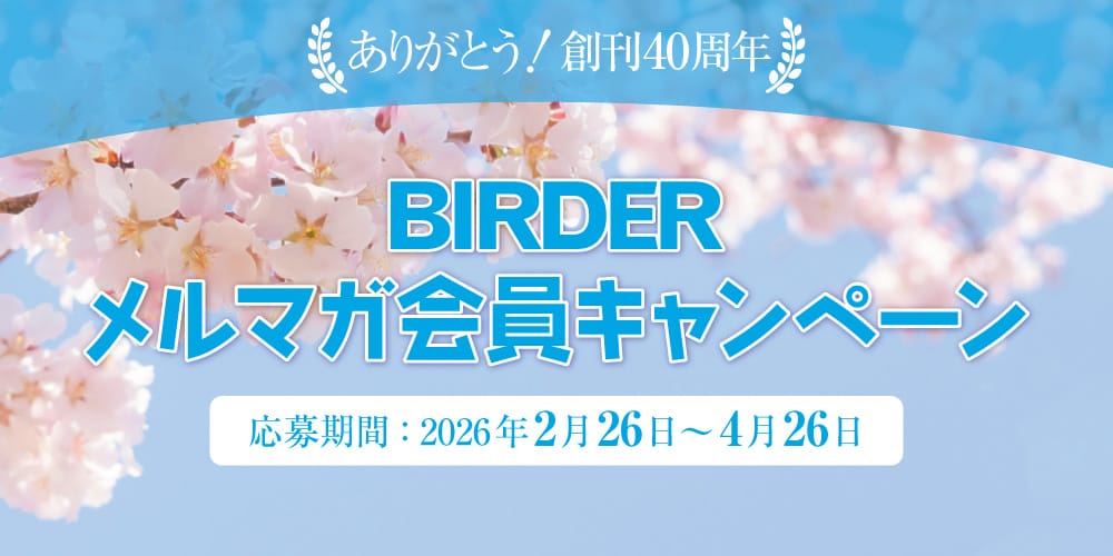 BIRDERメルマガ会員キャンペーン