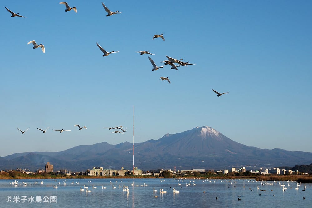 米子水鳥公園