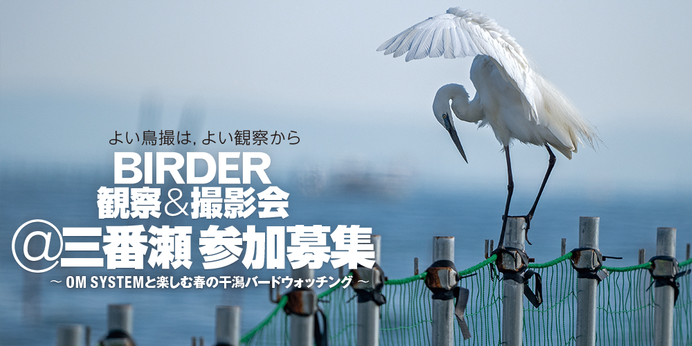 【募集】BIRDER観察＆撮影会 @三番瀬〜OM SYSTEMと楽しむ春の干潟バードウォッチング
