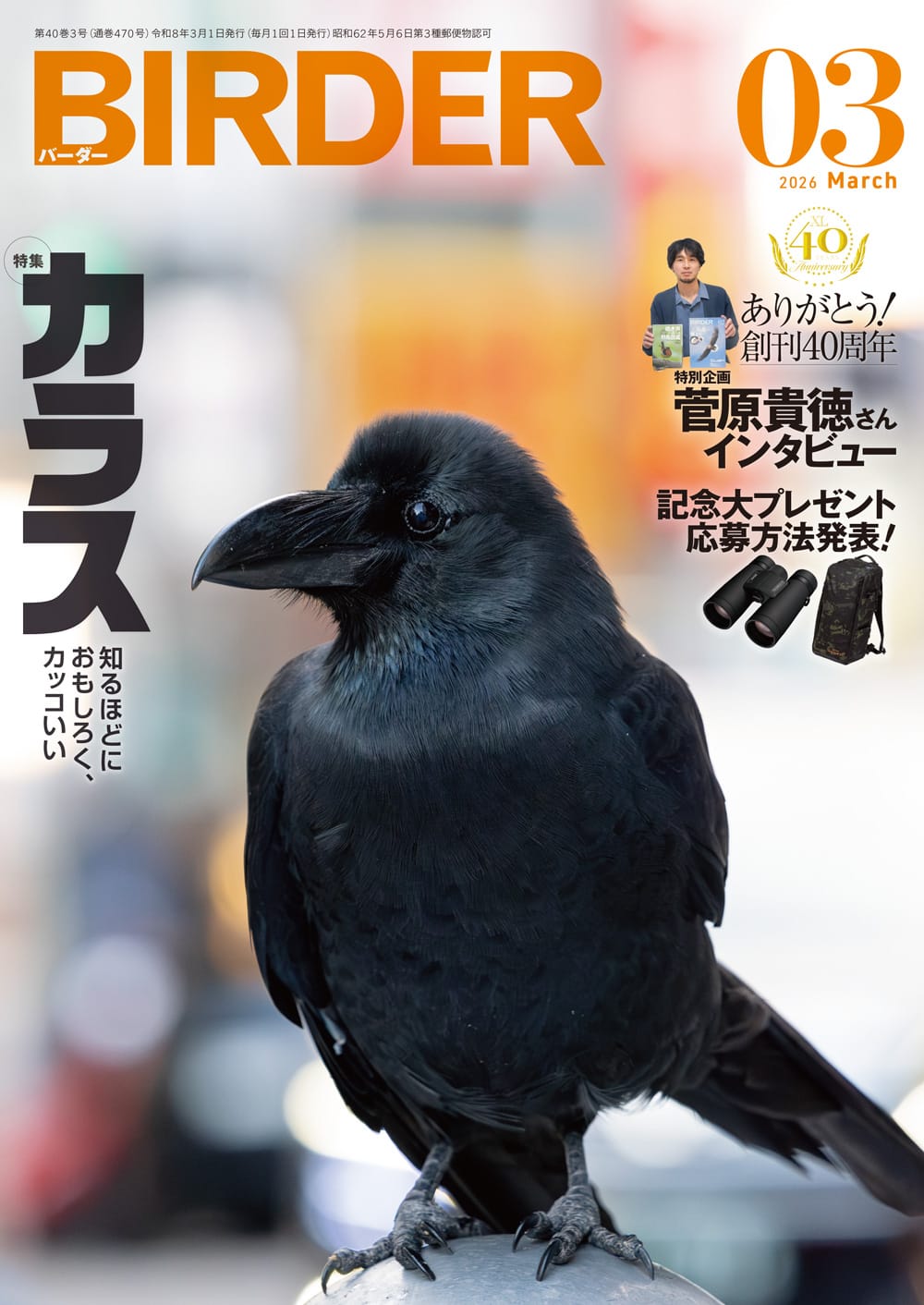 BIRDER（バーダー） 2026年3月号