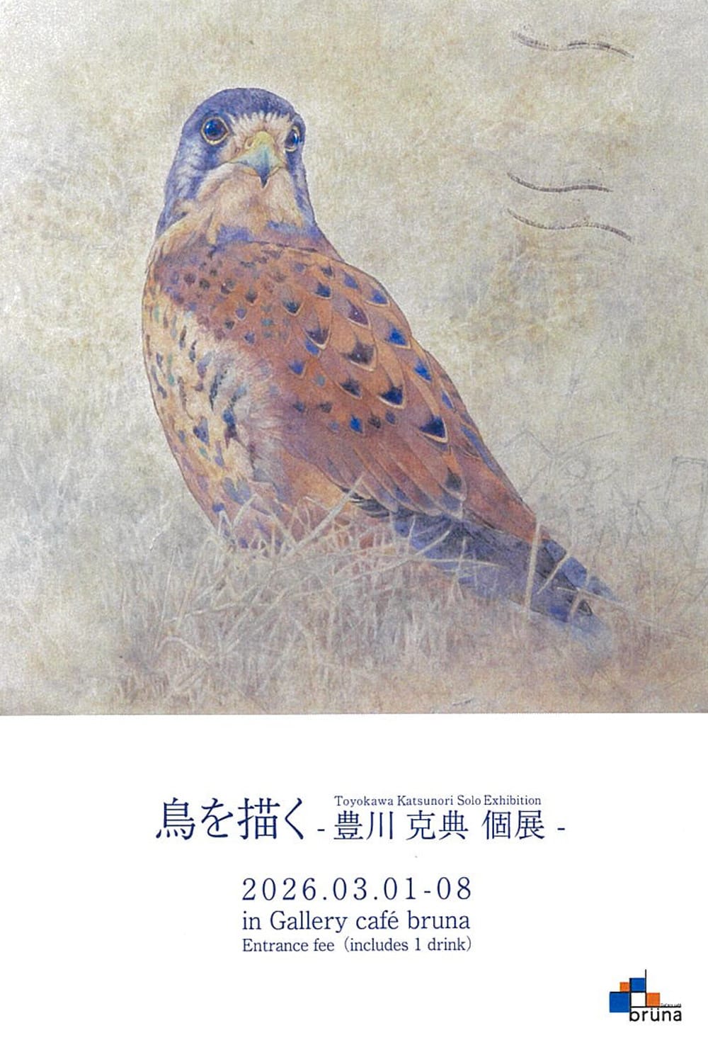 鳥を描く —豊川克典 個展—（3/1〜）